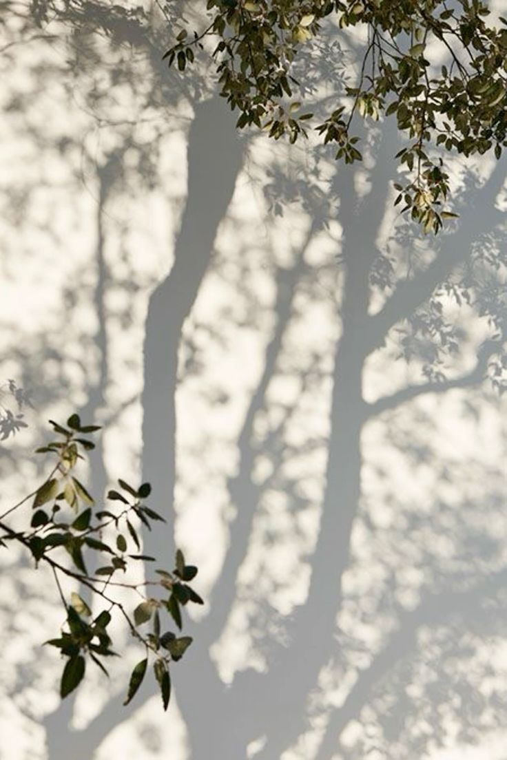 SUNDAY SLOWDOWN | Honoring the Spaces in Between - Bella Cucina