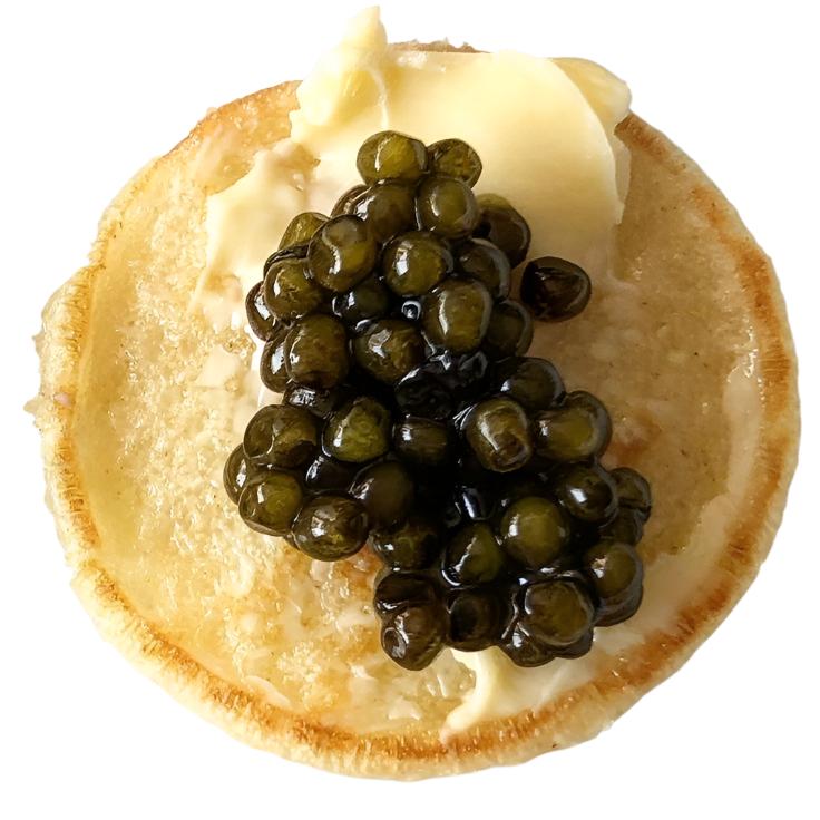 Calvisius Blini