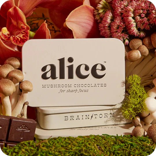 Alice mushrooms chocolates by Bella Cucina –