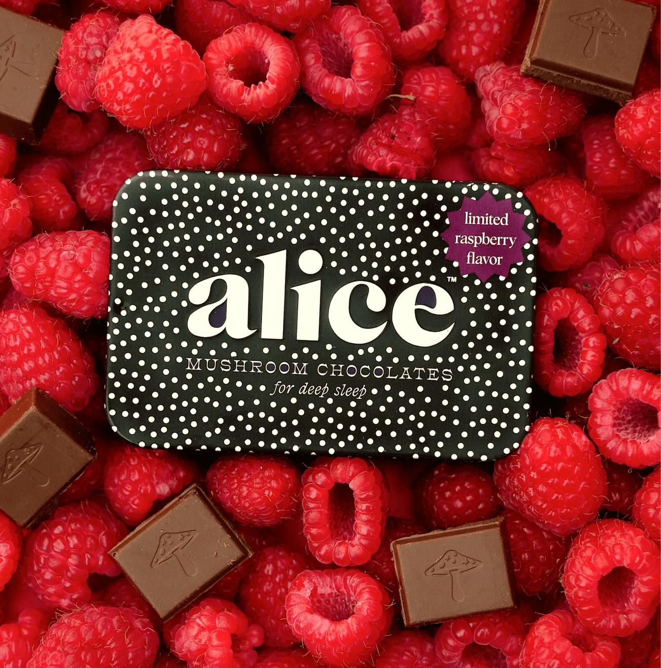 Alice mushrooms chocolates by Bella Cucina –