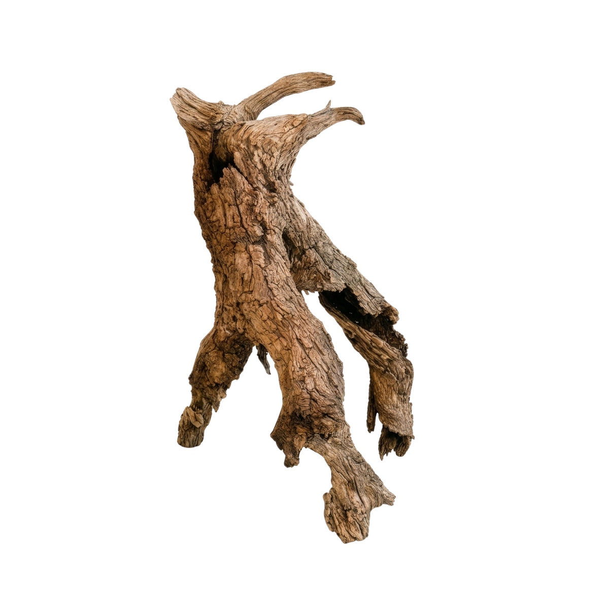 Antiques & Found Objects: The Root Sculpture by Bella Cucina – Antiques & Found Objects: Sculpture