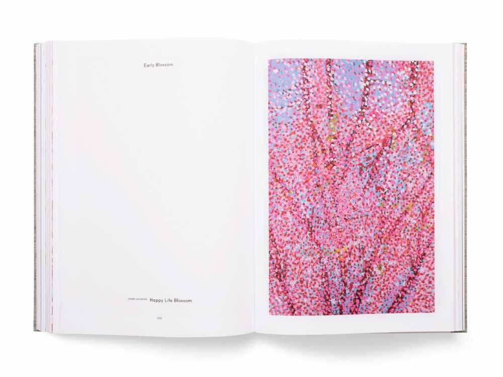Bella Cucina - Damien Hirst: Cherry Blossoms -