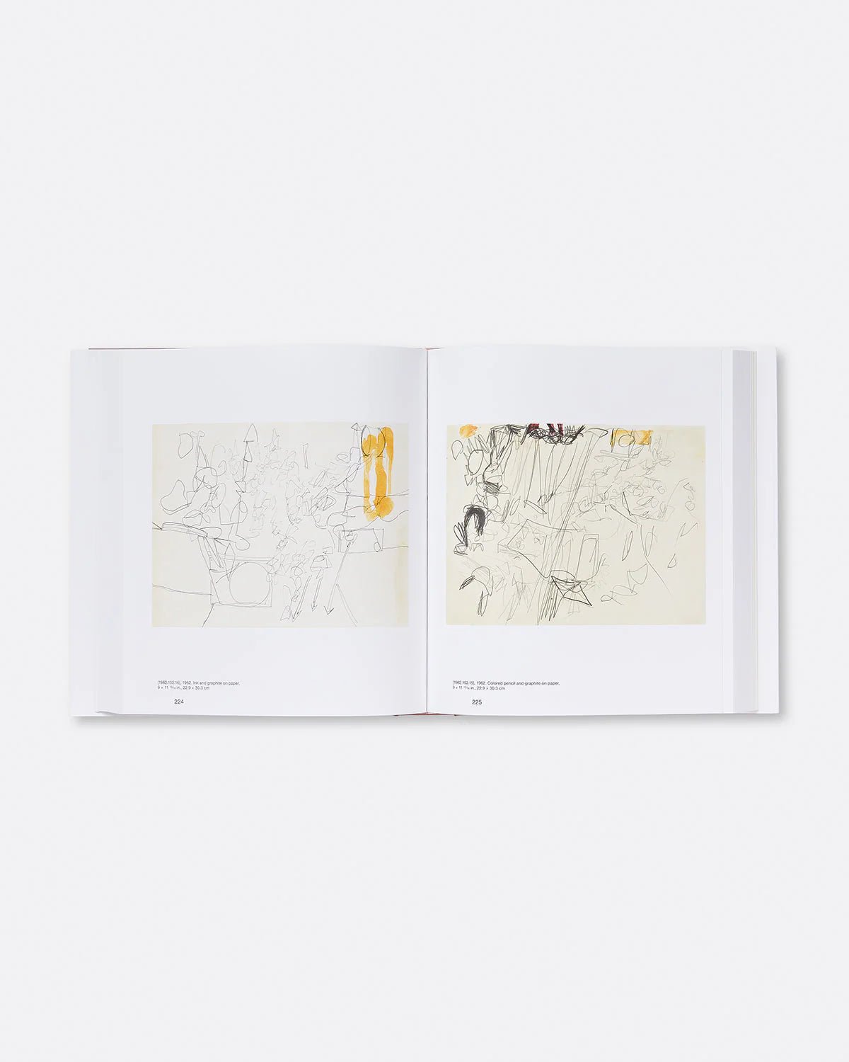 Bella Cucina - Eva Hesse Oberlin Drawings -