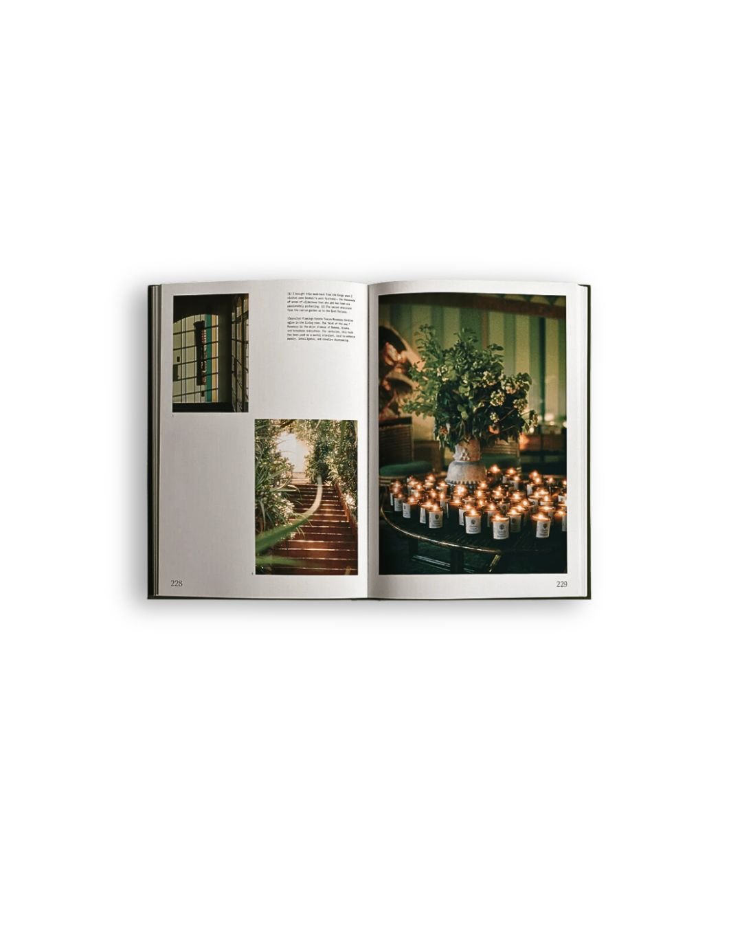 Bella Cucina - Flamingo Estate Fridays From the Garden Cookbook -