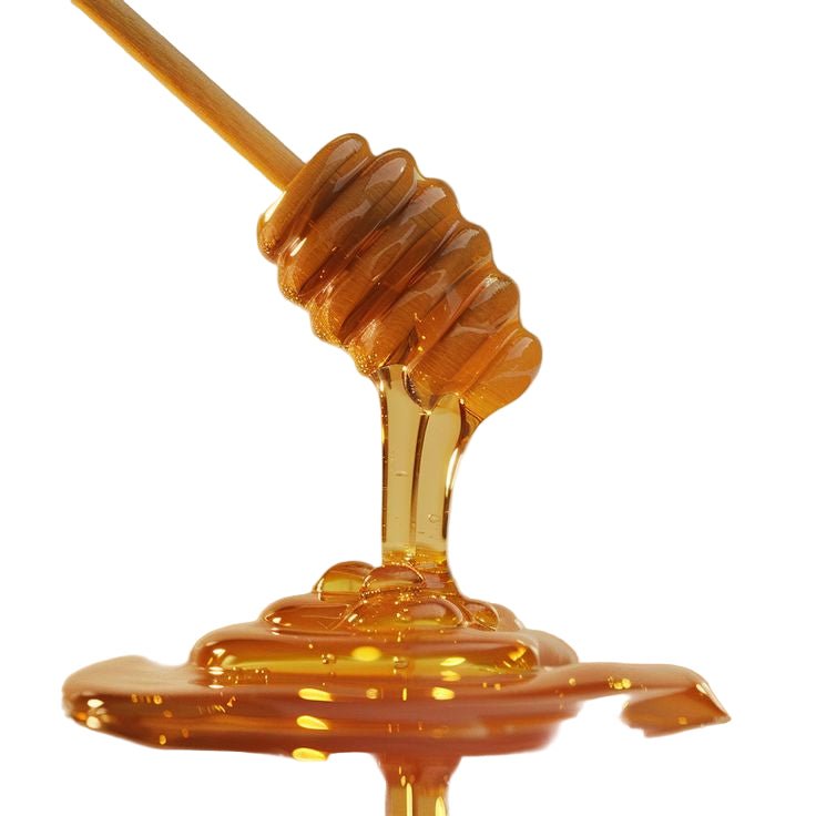 Olive Wood Honey Dipper by Bella Cucina – Servingware