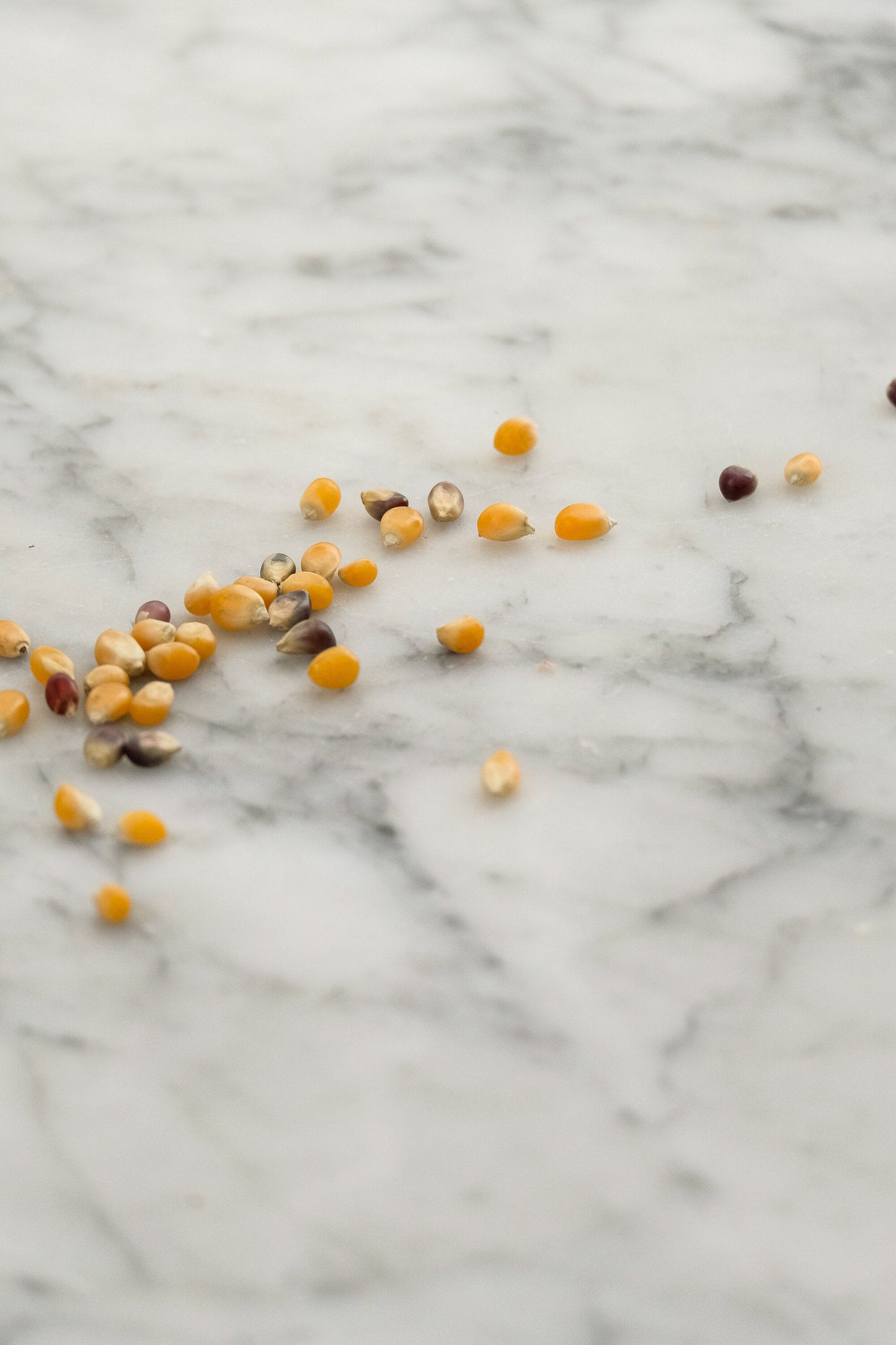 Bella Cucina - Sweet Heirloom Popcorn Gift with White Truffle Salt - OPRAH'S FAVORITE THINGS 2024! -