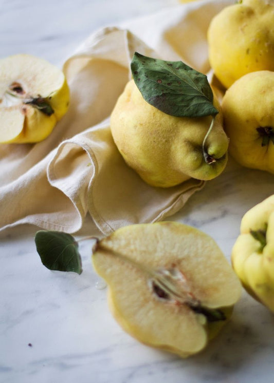 Autumn | From the Earth  to the Table