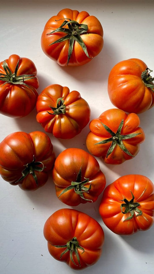 The Art of the Italian Summer