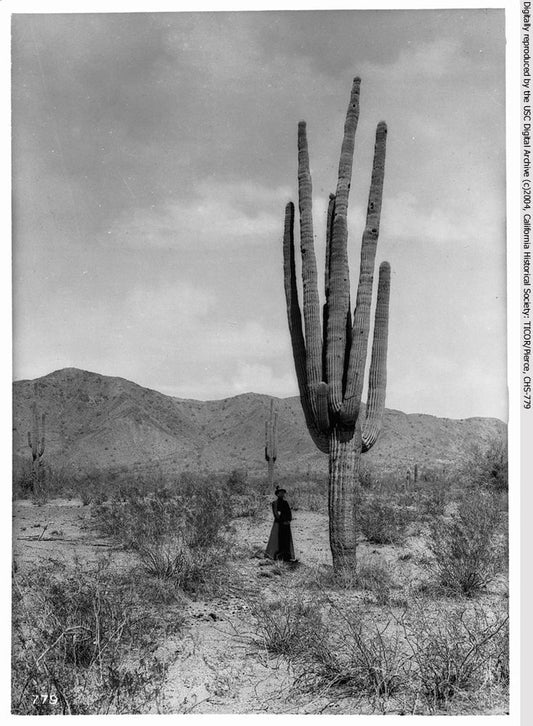 SUNDAY SLOWDOWN | Travel as a portal of (self) discovery