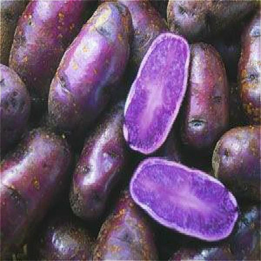 Purple potato salad 
