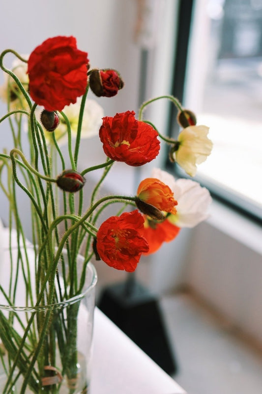 A Season to Flourish - Bella Cucina