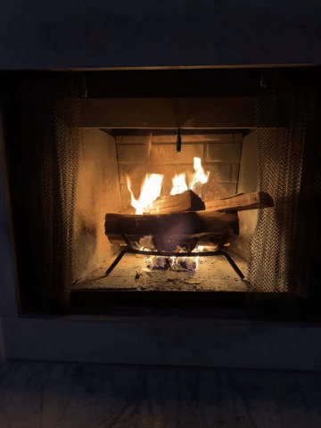 SUNDAY SLOWDOWN | A winter respite