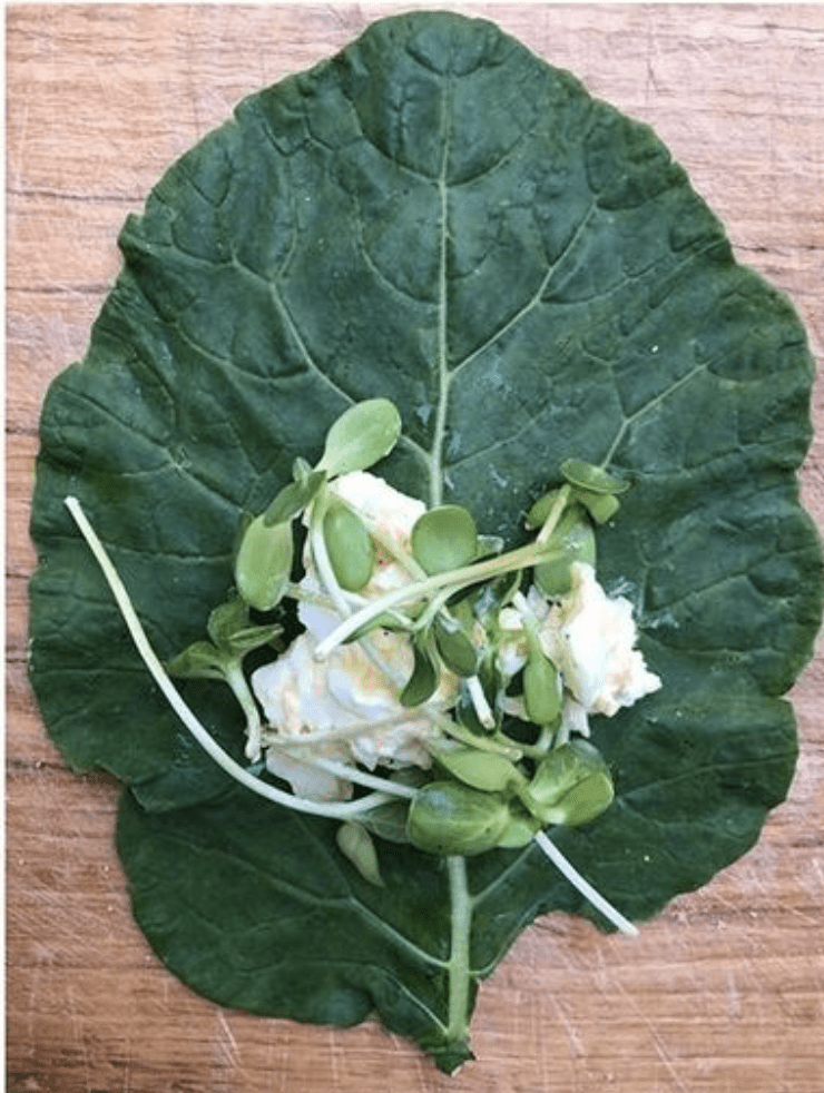 Olivada Egg Salad and Sunflower Shoots Collard Wraps - Bella Cucina