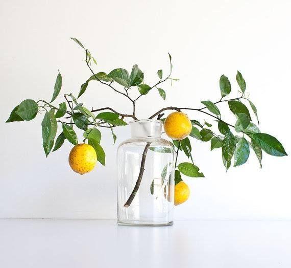 Rinnovarsi | A Season of Renewal - Bella Cucina