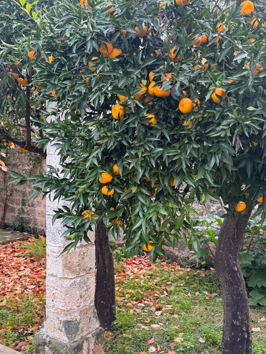 SUNDAY SLOWDOWN | A Love letter from Italy - Bella Cucina