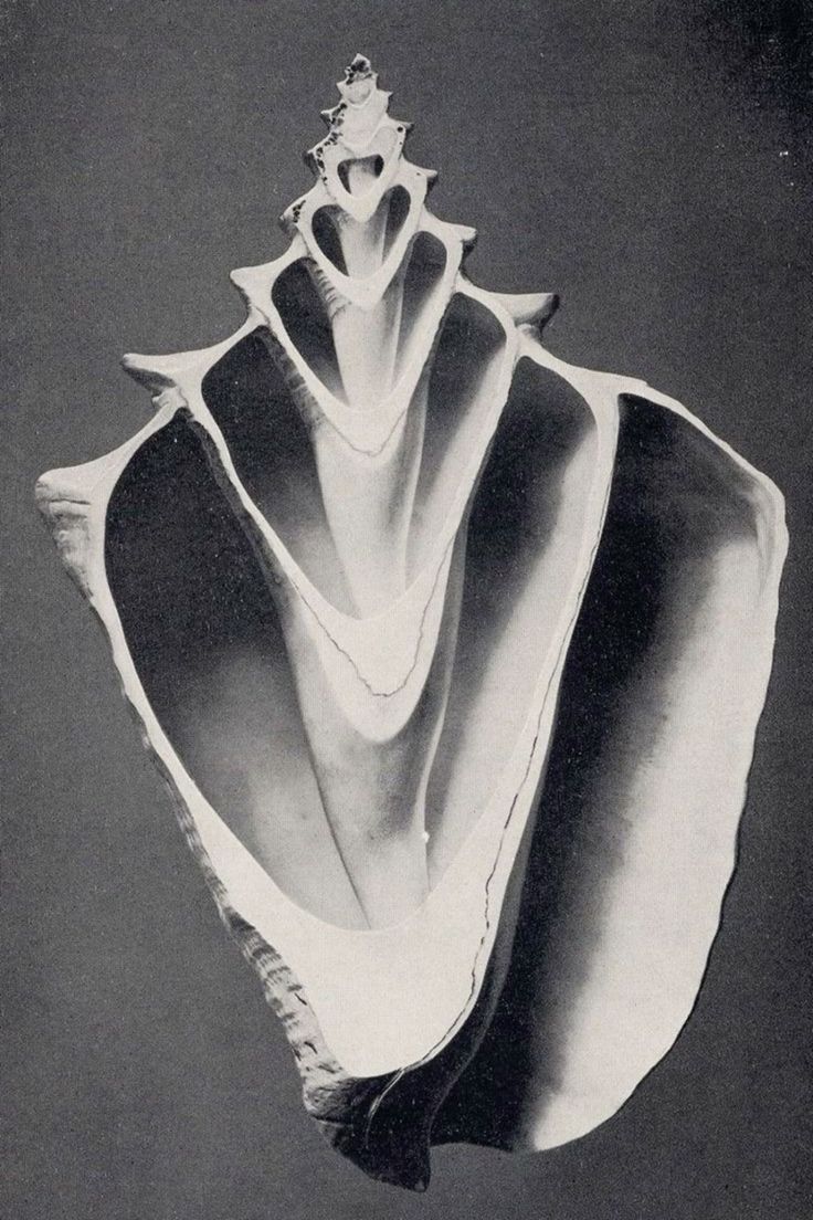 SUNDAY SLOWDOWN | Leave space for imagining - Bella Cucina