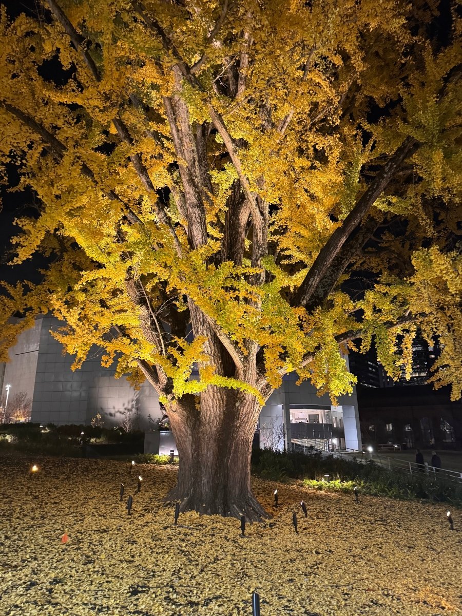 SUNDAY SLOWDOWN | The Soul Knows - Bella Cucina