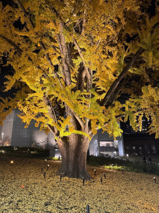 SUNDAY SLOWDOWN | The Soul Knows - Bella Cucina