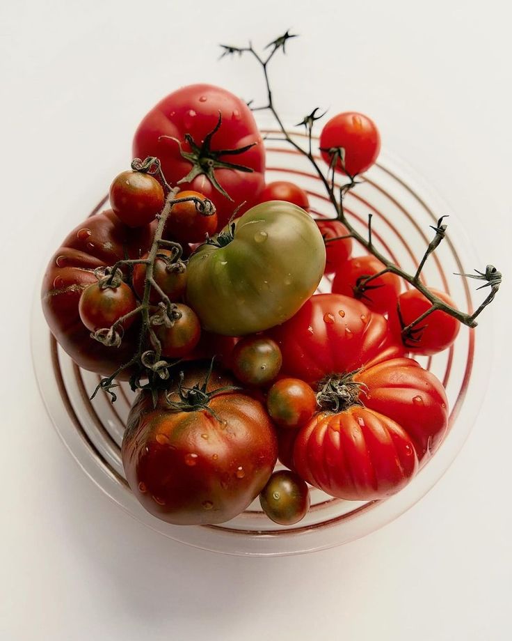 The Art of the Italian Summer - Bella Cucina