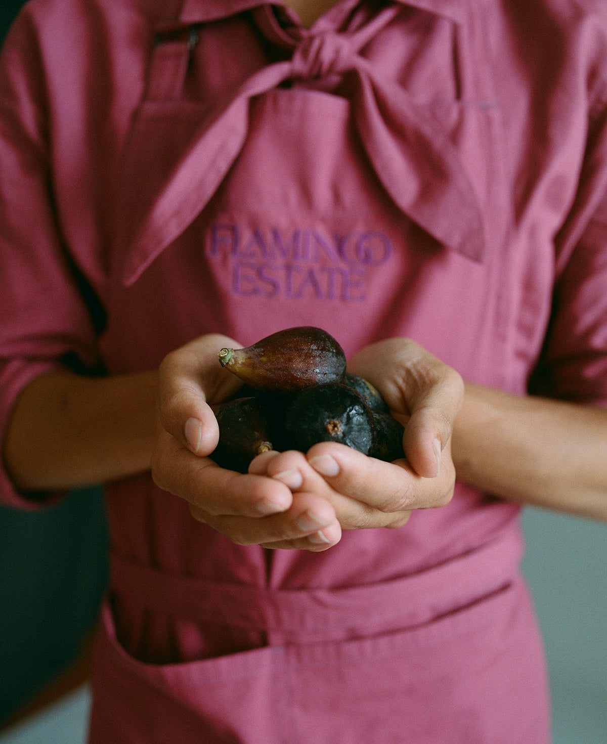 A person wearing a dusty rose apron with 'FLAMINGO ESTATE' embroidered on the chest, holding a cluster of dark figs in their hands.