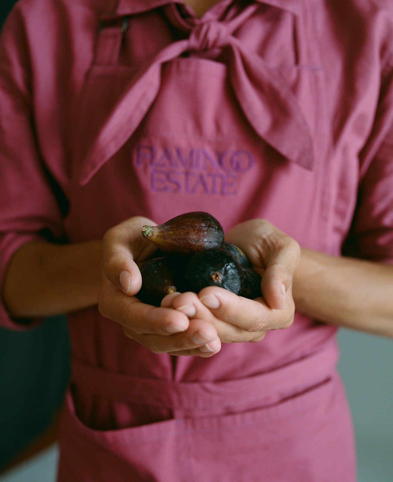 A person wearing a dusty rose apron with 'FLAMINGO ESTATE' embroidered on the chest, holding a cluster of dark figs in their hands.