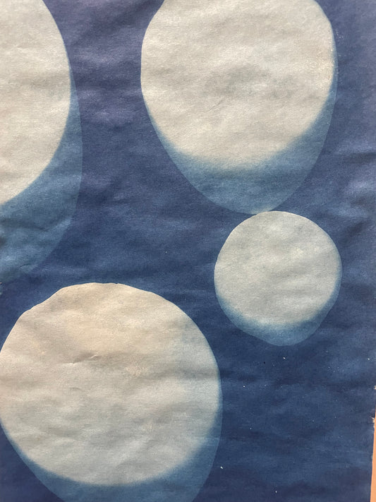 Alisa Barry art | "Super blue moon" | Cyanotype on paper 8 X 12