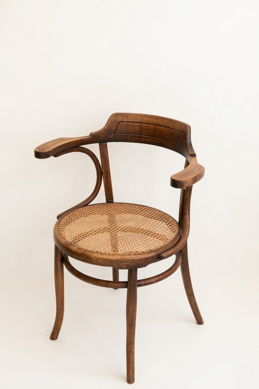 Antiques & Found Objects: The Bentwood Armchair by Bella Cucina – Antiques & Found Objects: Chairs