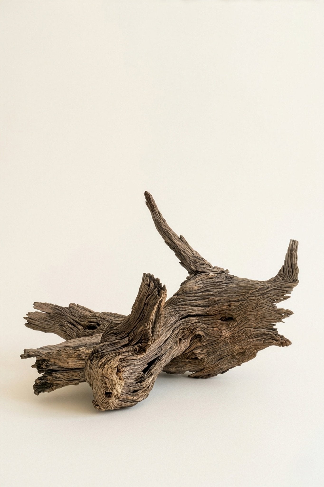 Antiques & Found Objects: The Root Sculpture by Bella Cucina – Antiques & Found Objects: Sculpture