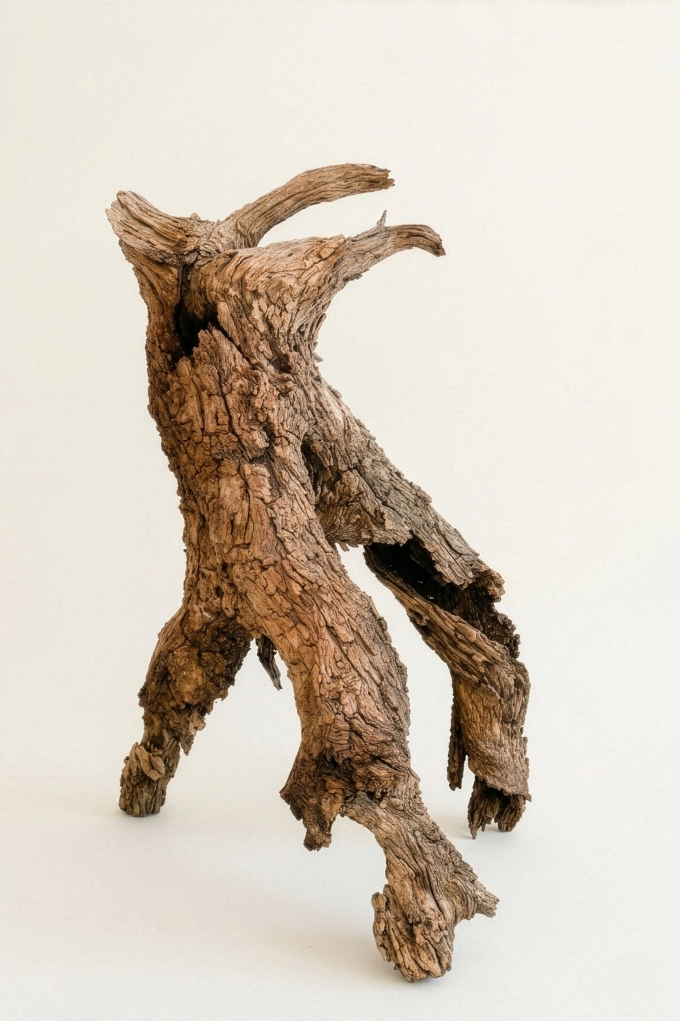 Antiques & Found Objects: The Root Sculpture by Bella Cucina – Antiques & Found Objects: Sculpture