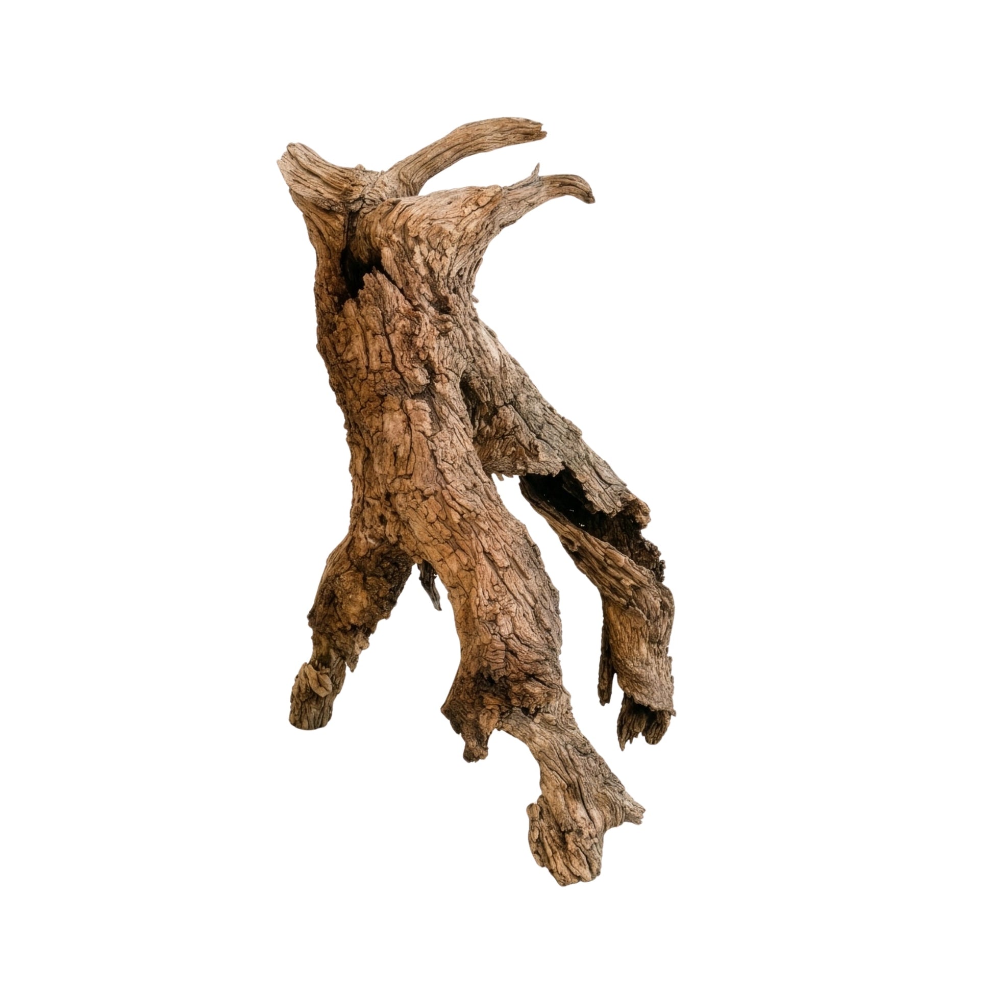 Antiques & Found Objects: The Root Sculpture by Bella Cucina – Antiques & Found Objects: Sculpture