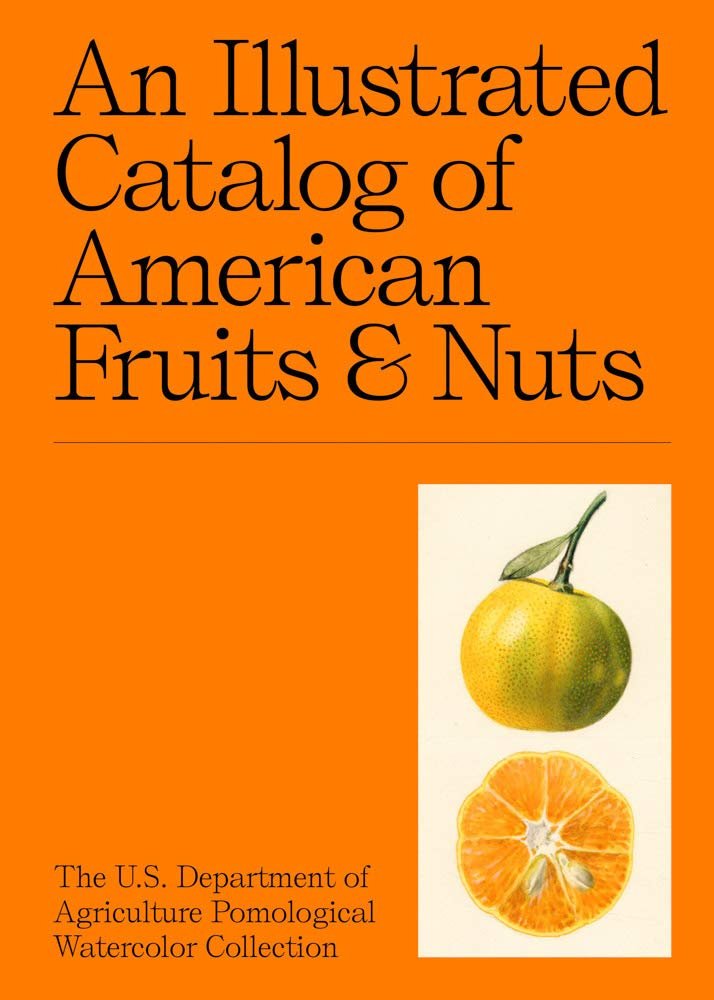 Books: Illustrated Catalog of American Fruits and Nuts by Bella Cucina – Books: Art