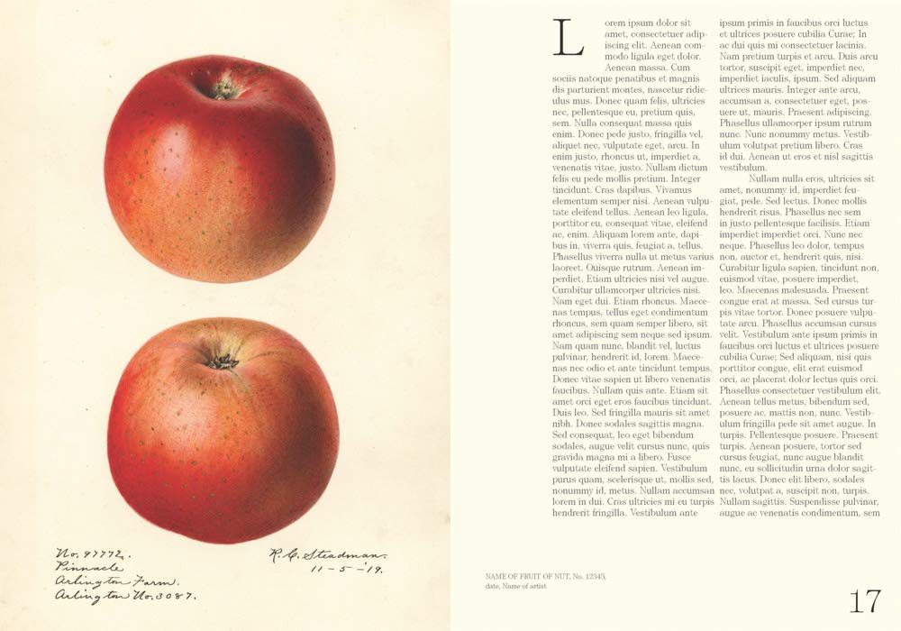 Books: Illustrated Catalog of American Fruits and Nuts by Bella Cucina – Books: Art