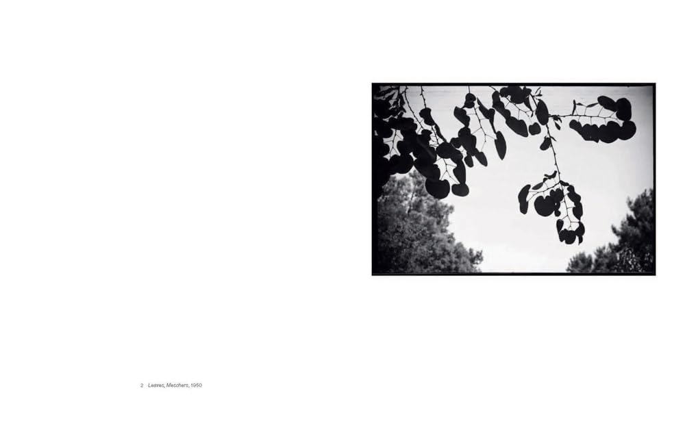 Books: Shape, Ground, Shadow: The Photographs of Ellsworth Kelly by Bella Cucina – Books: Art