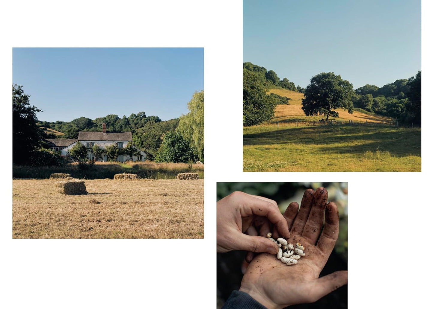 Books: The Farm Table by Julius Roberts by Bella Cucina – Book