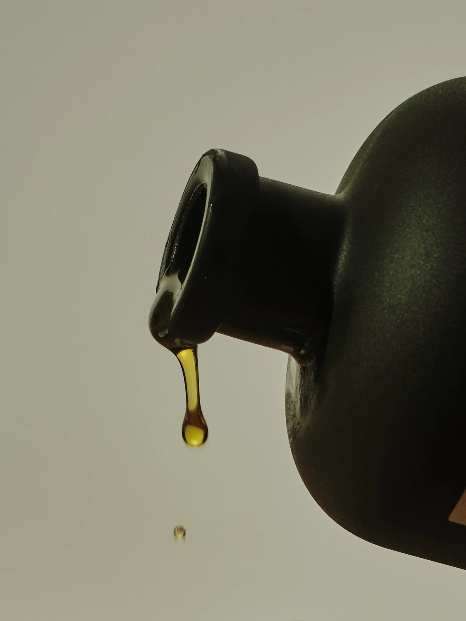 Branche Extra Virgin Olive Oil by Bella Cucina –