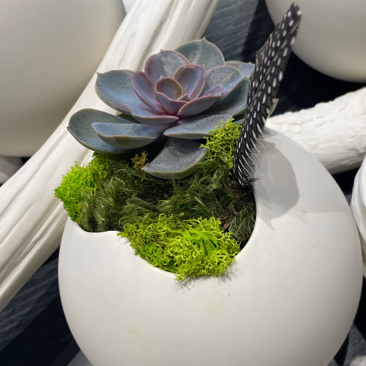 Rachel Garceau large ceramic wall vase with plant at Bella Cucina in Atlanta