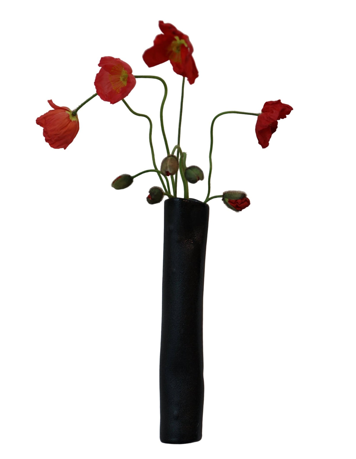 Charlotte Smith Ceramics: Porcelain Black Bud Vase Wall-mounted by Bella Cucina –