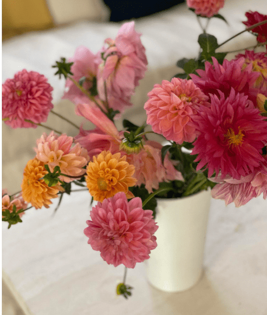 Bella Cucina - Charlotte Smith Ceramics - Porcelain Vases - 