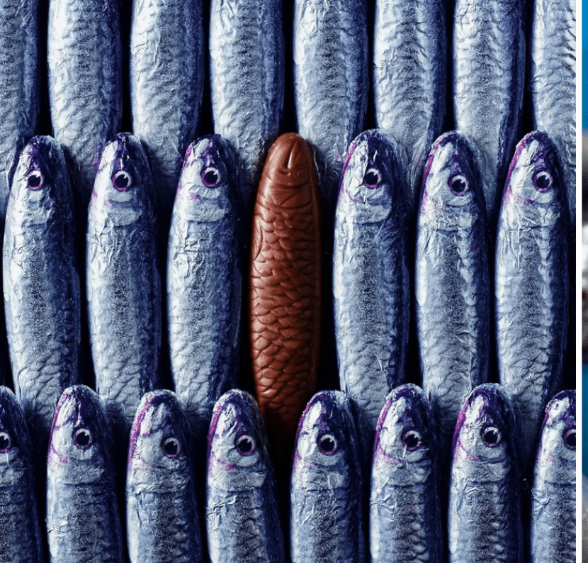 Chocolate Sardines by Bella Cucina – Sweets: Chocolate