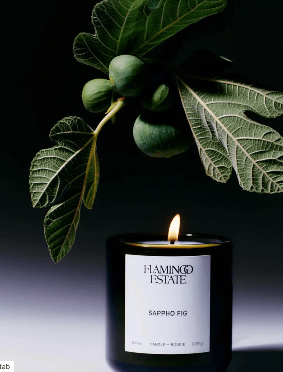 Flamingo Estate Limited Edition Book signing with Richard Christiansen | Friday, July 24th by Bella Cucina –