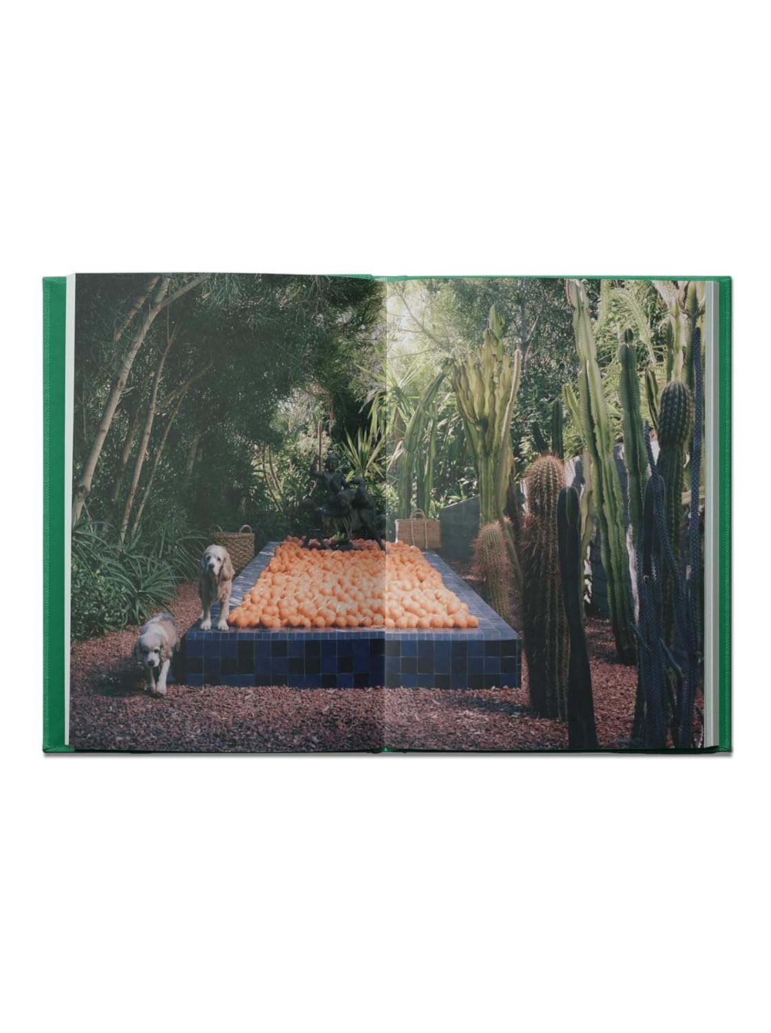 Flamingo Estate The Guide to Becoming Alive by Bella Cucina – Hardcover Book