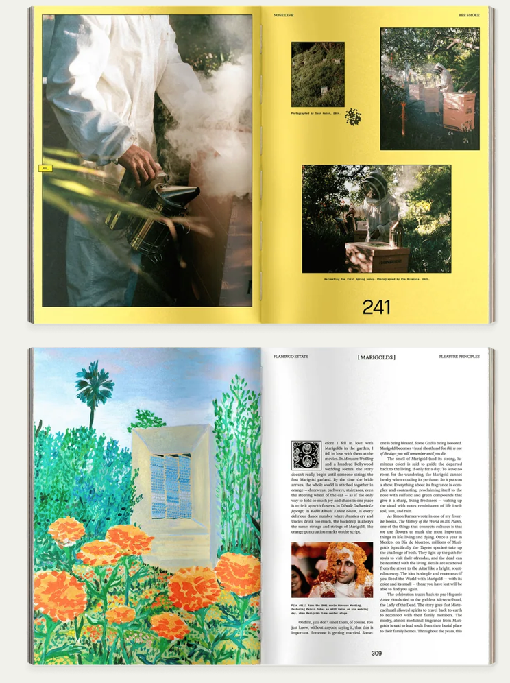PRE-ORDER Now! Flamingo Estate PLEASURE PRINCIPLE Book Signing with Richard Christiansen | Sunday, October 18th by Bella Cucina –