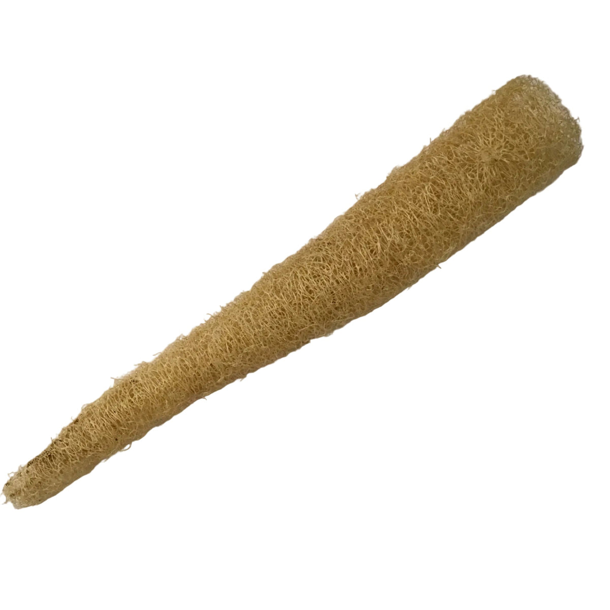 Wellness: Locally Sourced Natural Loofah by Bella Cucina – Wellness: Bath