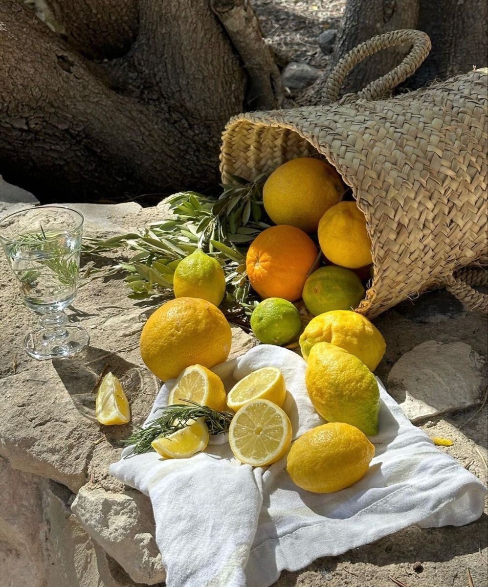 A woven basket spills fresh citrus fruits, including lemons, limes, and oranges, onto a rustic stone surface. A linen cloth holds sliced lemons alongside a sprig of rosemary. Sunlight filters through the trees, casting warm shadows, evoking a Mediterranean-inspired, artisanal feel.