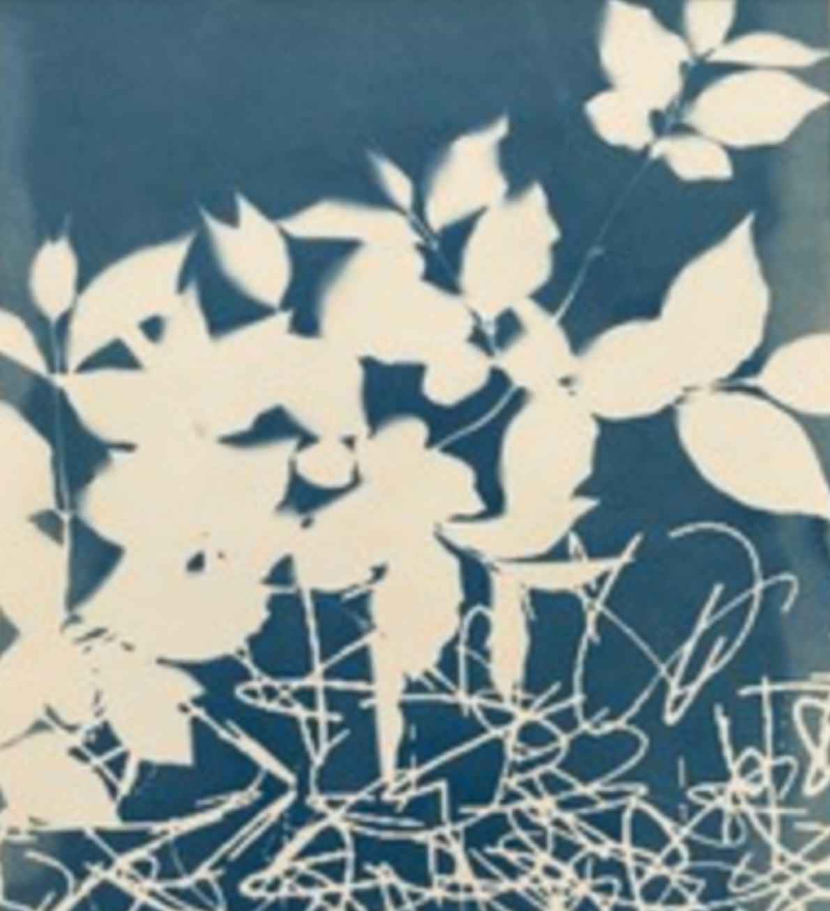 Cyanotype Workshop "Printing with the Sun” / Saturday, July 27th